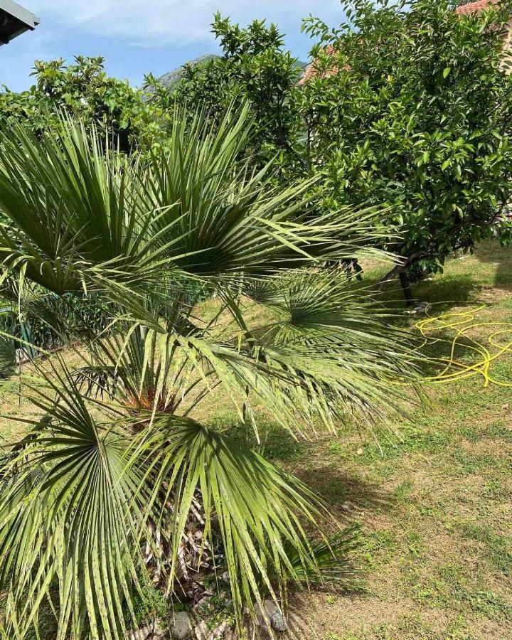 Apartmani Zelenika Herceg Novi Exterior foto