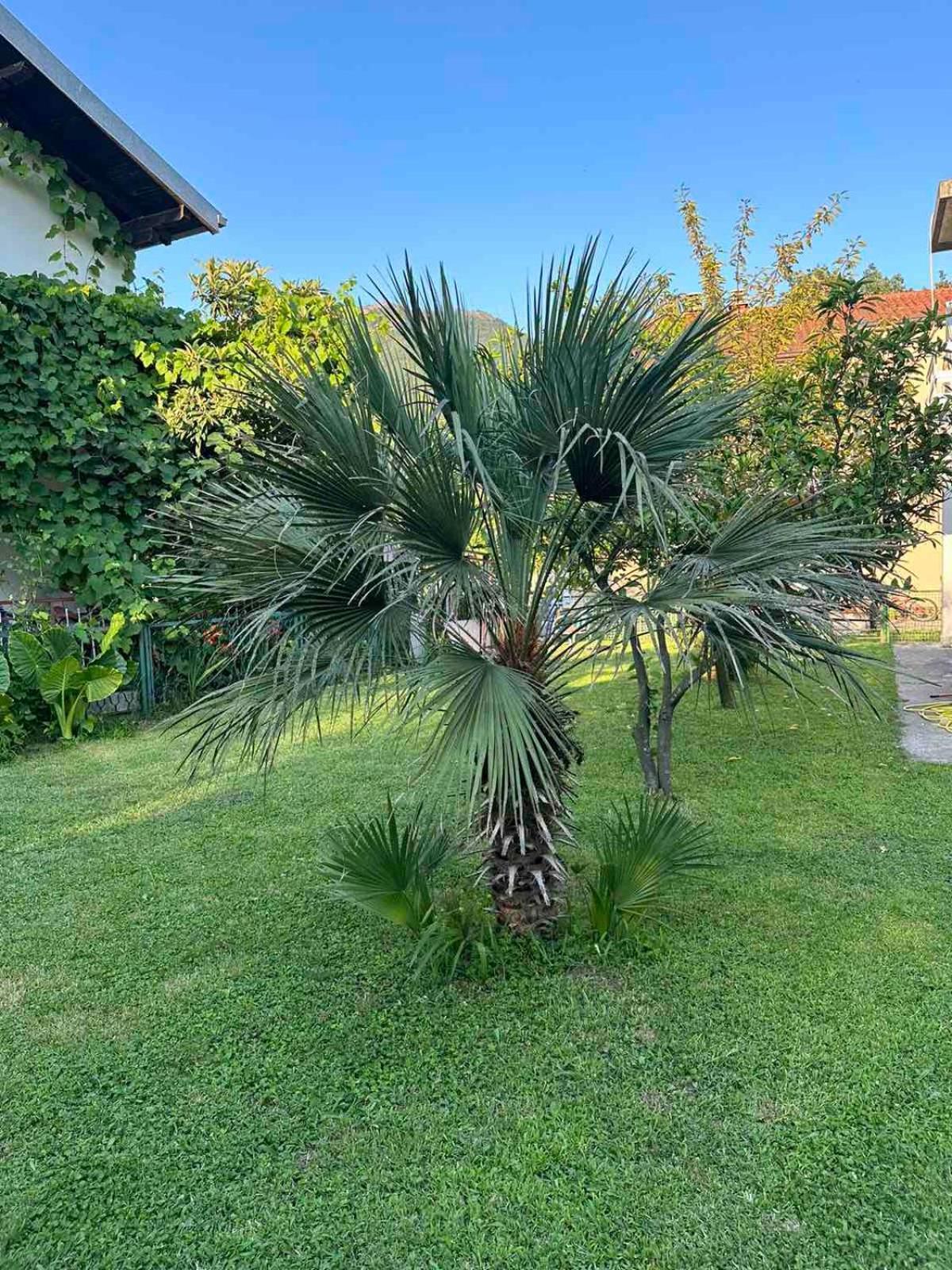 Apartmani Zelenika Herceg Novi Exterior foto