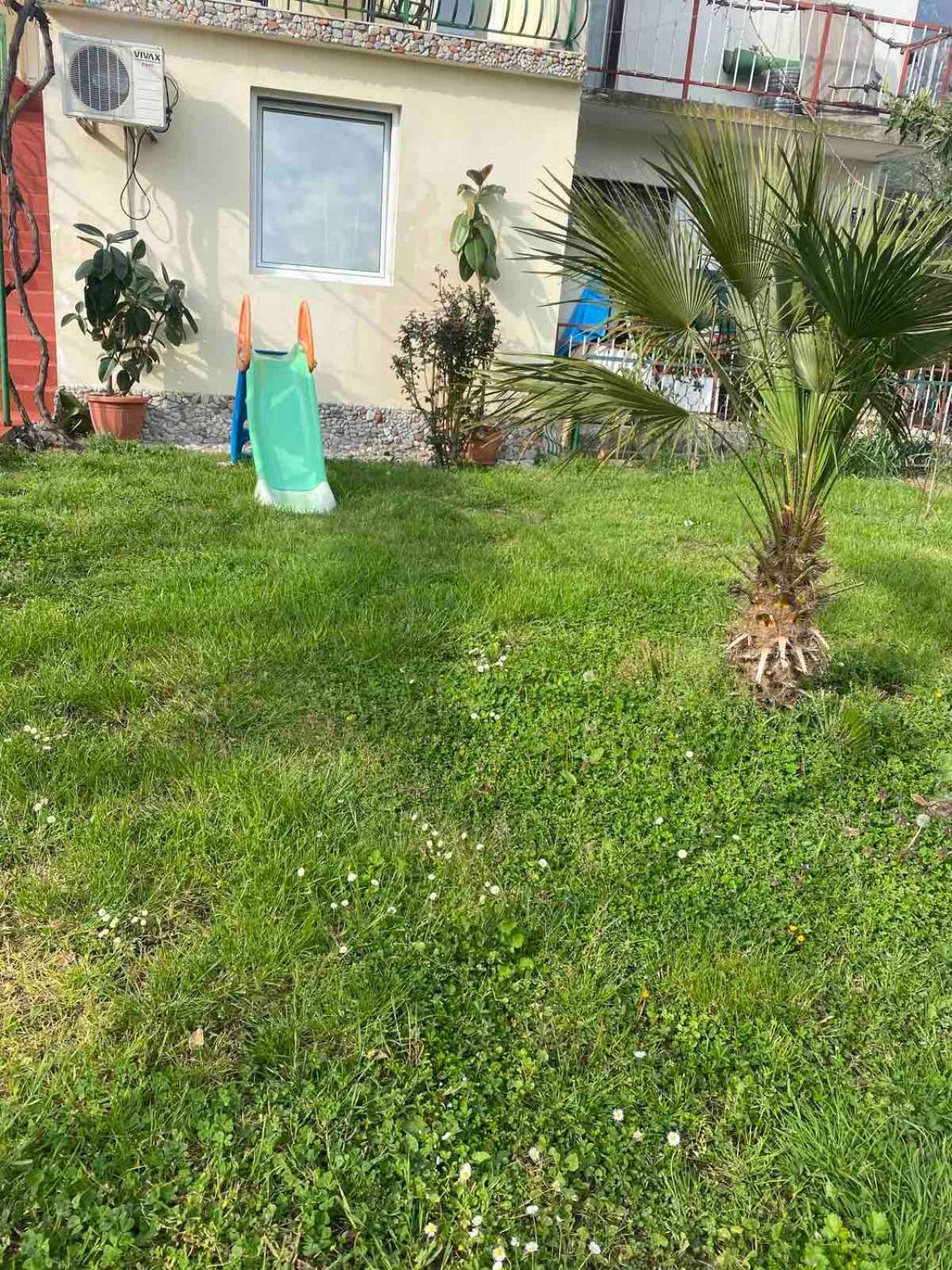 Apartmani Zelenika Herceg Novi Zimmer foto