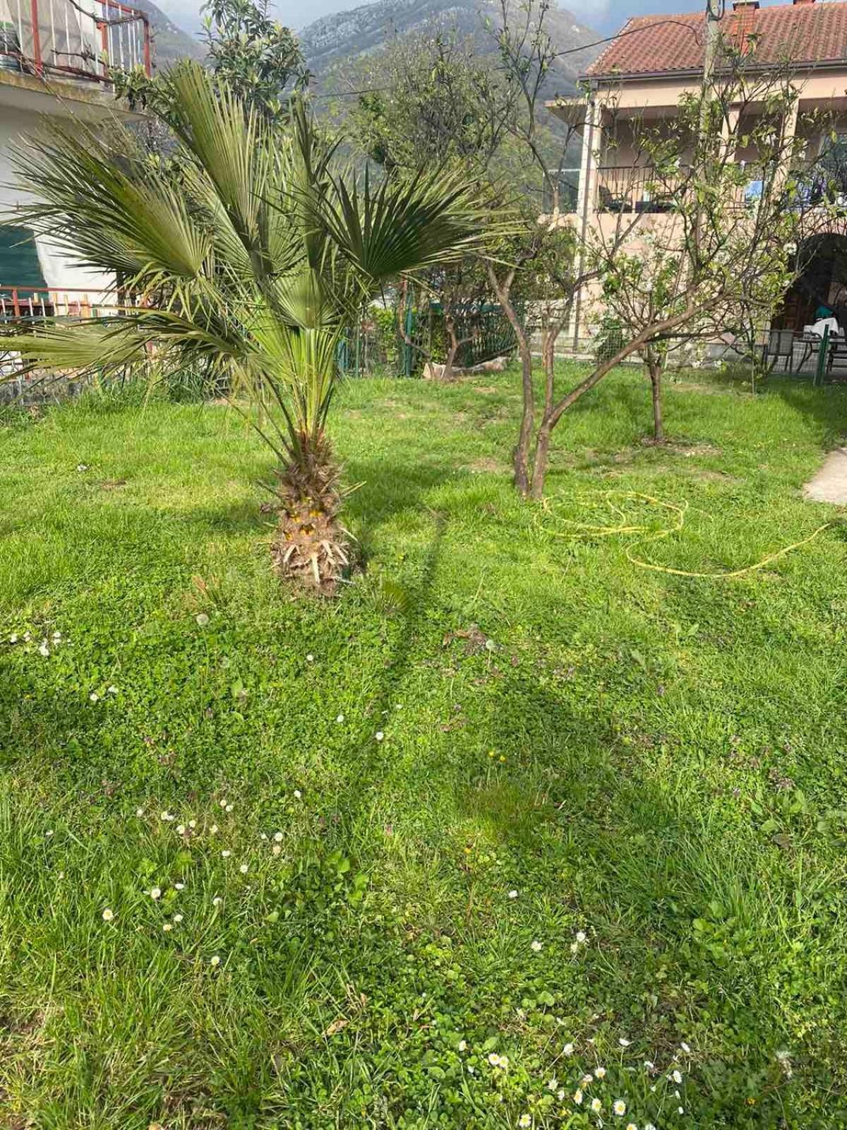 Apartmani Zelenika Herceg Novi Zimmer foto